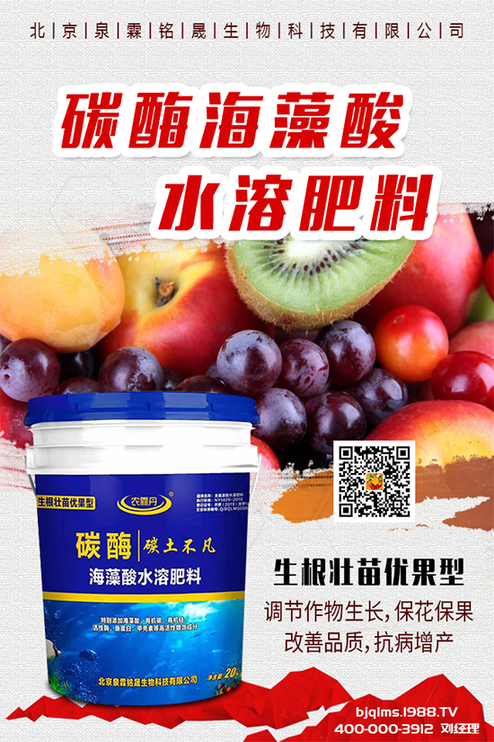 黃瓜出現(xiàn)早衰是什么原因？黃瓜早衰解決措施有哪些？