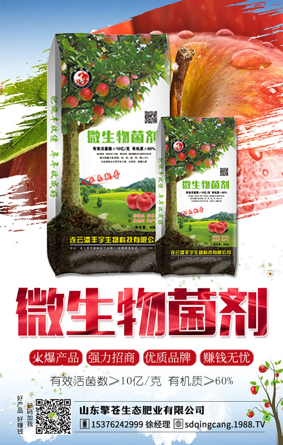 草莓發(fā)生肥害了怎么辦？如何避免？草莓肥害原因及補(bǔ)救措施！