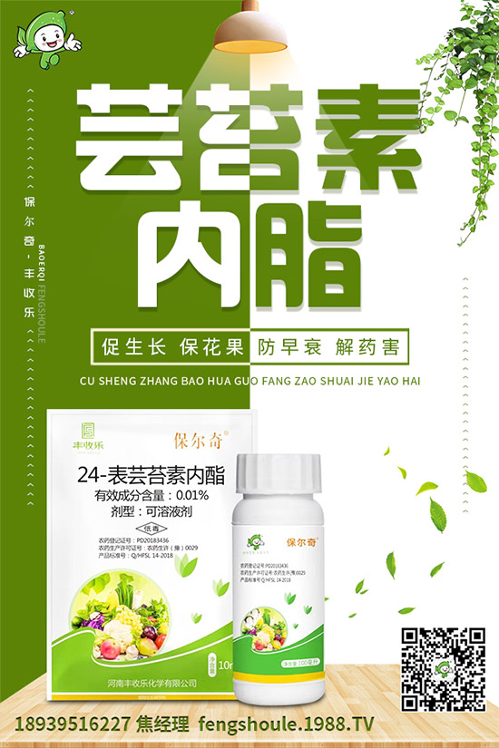 草珊瑚該怎么種植？如何種植能高產(chǎn)？草珊瑚高產(chǎn)種植技術(shù)