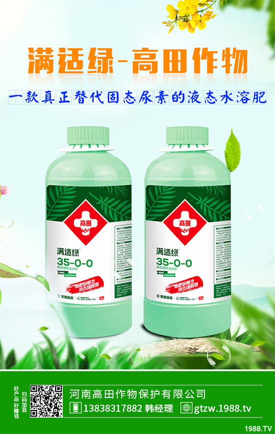 草珊瑚有哪些神奇功效？中藥材草珊瑚的作用及功效！