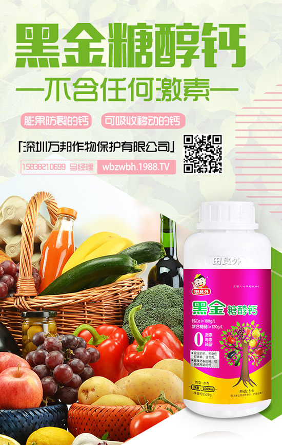 花期將至！棗樹落花落果該怎么辦？棗樹落花落果原因及防止措施！