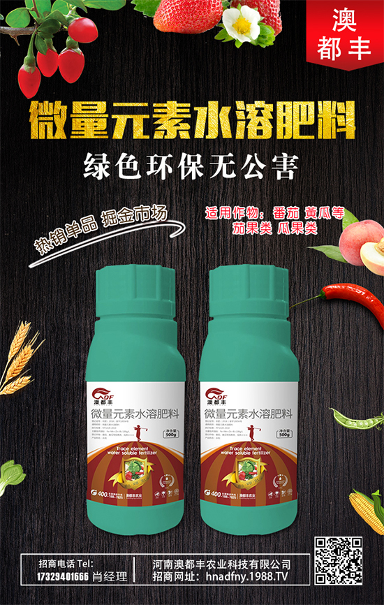 甜瓜什么時間種植好？甜瓜種植技術(shù)要點！