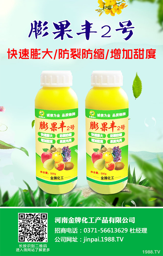     黑櫻桃該如何栽培？怎樣管理？黑櫻桃高產(chǎn)栽培管理技術(shù)