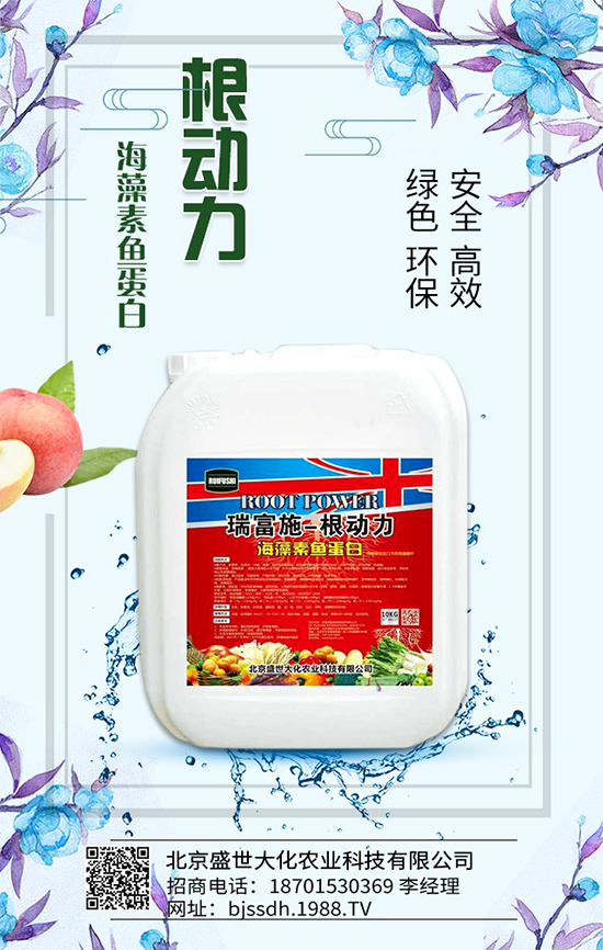 荔枝生長環(huán)境要求，荔枝苗嫁接方法及施肥原則！