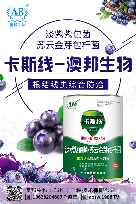 玉米播種多深才算好？玉米如何選種？玉米播種注意事項(xiàng)！