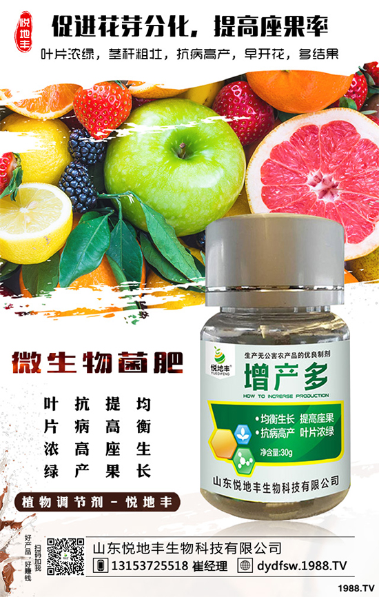 冰菜該如何栽培？怎樣種植能高產(chǎn)？冰菜的高產(chǎn)栽培技術(shù)