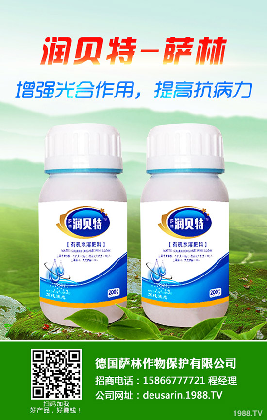 金桔樹怎么養(yǎng)？金桔樹的養(yǎng)殖方法和注意事項(xiàng)