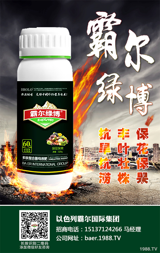 ������ʲô�r(sh��)�򲥷N��2020���������粥�����ă�(y��u)ȱ�c(di��n)����