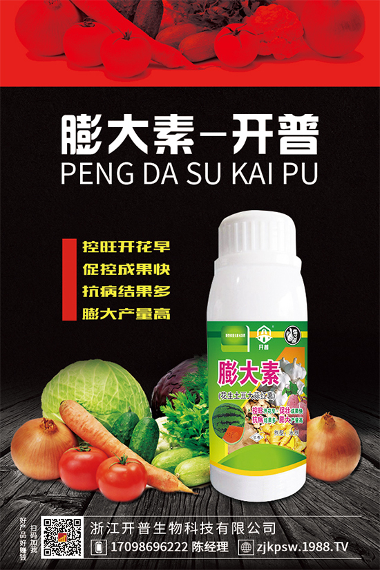 �S���Nֲ�y����������ʲô��Ҷ��f���÷Nֲ�������������