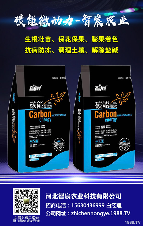 ���ϵ�������ԣ�����ʩ���Ľ�����