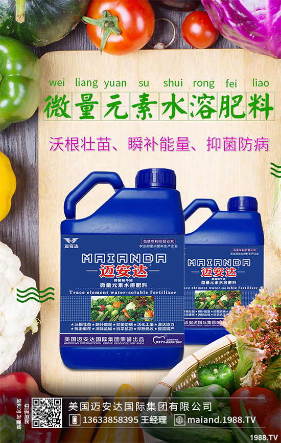 蒲公英育苗措施怎么做？蒲公英生長特點及適宜環(huán)境！