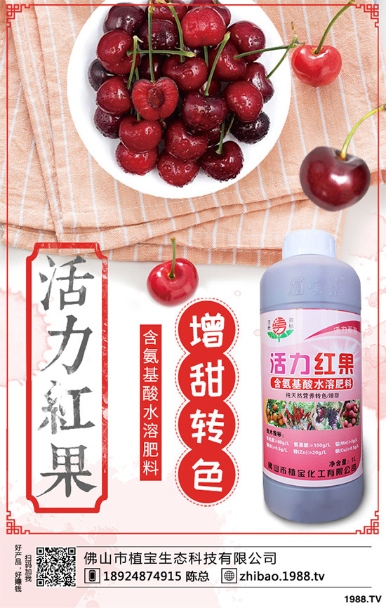     一銨訂單仍顯不佳！最新磷銨價格行情日報