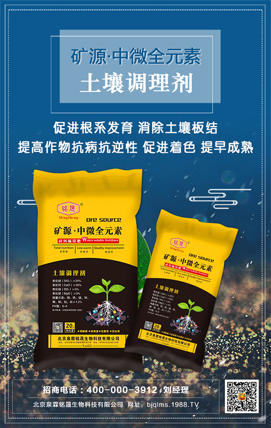 黑芝麻什么時間種植？黑芝麻栽培技術要點！