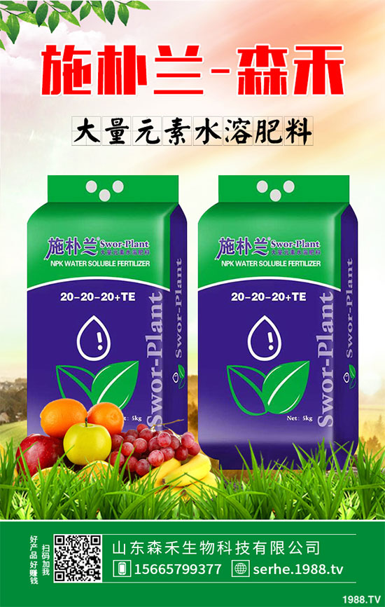 馬鈴薯價(jià)格不斷升高，能否繼續(xù)堅(jiān)挺？2020年馬鈴薯種植前景分析