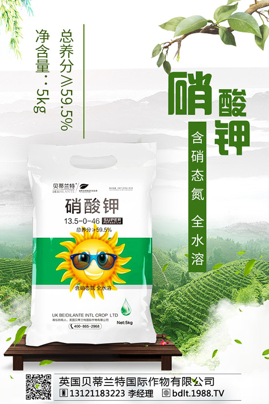 番茄空心果是怎么回事？如何做可以避免番茄空心？