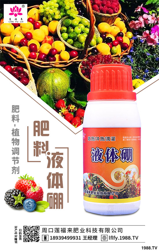 決明子有哪些神奇功效？種植決明子能掙錢嗎？2020決明子種植前景分析