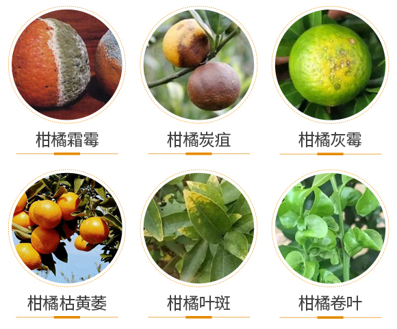 ������(d��o)��-(li��n)��μ�_05