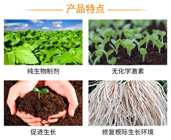 ΢�������-�_ʩ�ؼ�-��ķ�W-�����S_03