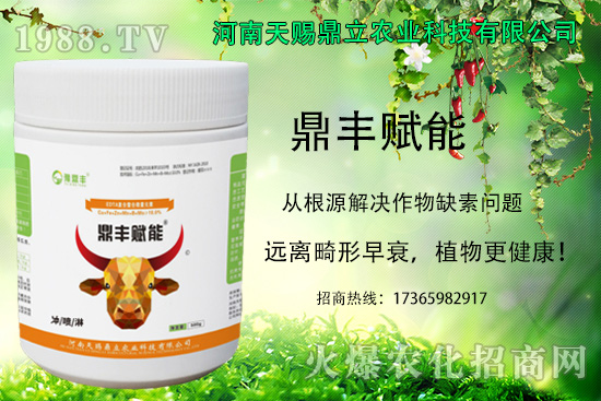 油麥菜怎么進(jìn)行追肥？油麥菜的種植注意事項(xiàng)！