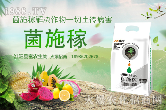 2020���r(n��ng)��NҰ��ٍ�X�����x����ЩҰ��Ʒ�NЧ��ߣ����h�ղ���