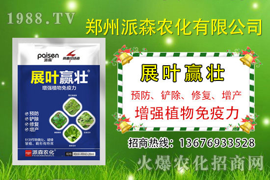 韭菜什么時(shí)候播種？韭菜市場(chǎng)前景如何？（種植成本及利潤(rùn)分析）