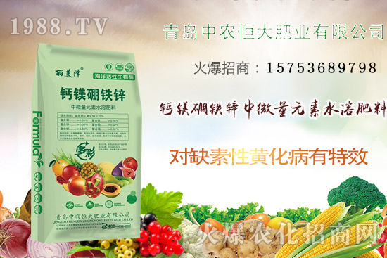 韭菜什么時(shí)候播種？韭菜市場前景如何？（附種植成本及利潤分析）