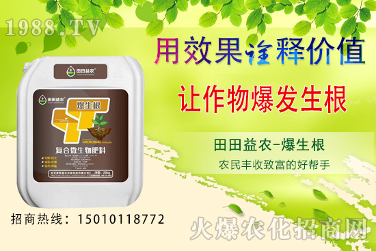 ���¿��ԷNֲ���߲�����Щ�����·N�߲˹���Ҫ�c��