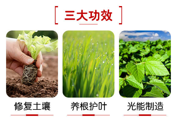 廣西新啟力生態(tài)科技有限公司產(chǎn)品詳情頁(yè)1_03