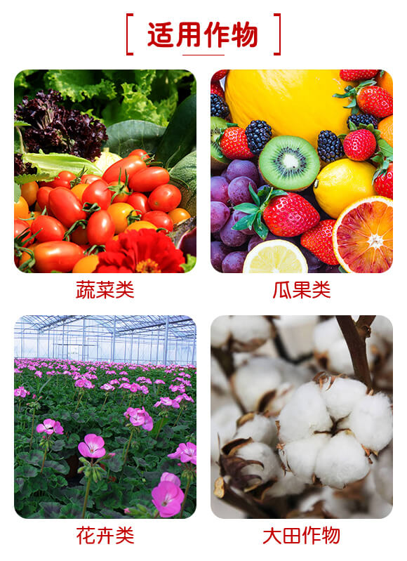 廣西新啟力生態(tài)科技有限公司產(chǎn)品詳情頁(yè)1_06