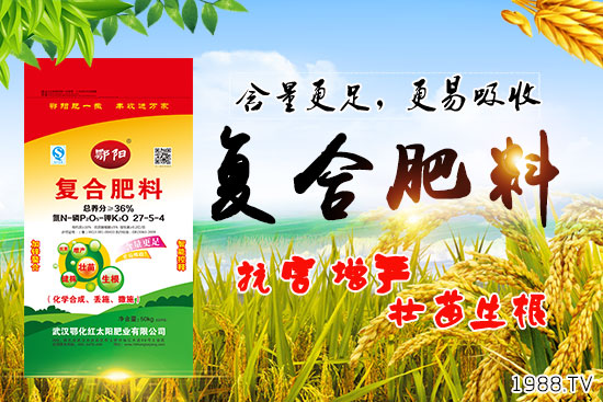 血橙有哪些營養(yǎng)價值？吃血橙有什么好處？