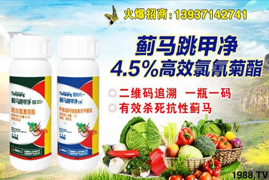 �r(n��ng)ˎ�r(ji��)��