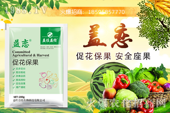 ��֦�ĠI�B(y��ng)�ɷ�����Щ����֦�ܶ�Ԇ��������m����Ⱥ��