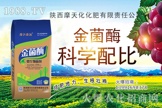 種一畝蘋果的成本是多少，有多少利潤？蘋果種植技術與管理！