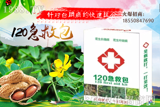 �ȹ����緽������Щ���ȹ���ô���Զ�ֲ��