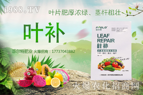 �o�����Nֲǰ����ô�����o�����Nֲ�r�g�ͷ�����