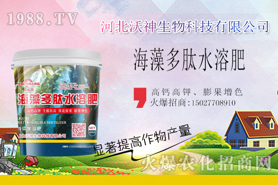  作物長勢好不好，根系管理很重要！“海藻多肽水溶肥”開啟作物生根時代！