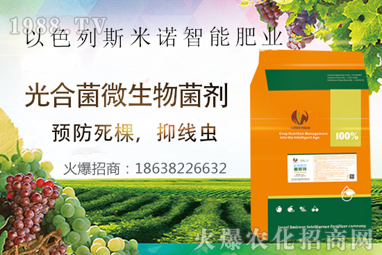 根結(jié)線蟲危害大，太難防？“菌微特”來幫忙！抑制線蟲和蟲卵，干凈！