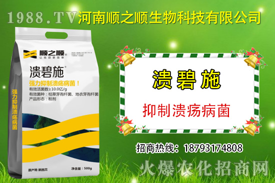 柑橘潰瘍病危害一年比一年嚴(yán)重，柑橘潰瘍病如何防控？