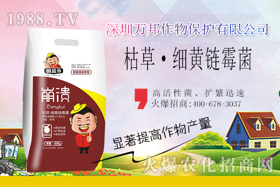 柑橘潰瘍病危害一年比一年嚴(yán)重，柑橘潰瘍病如何防控？