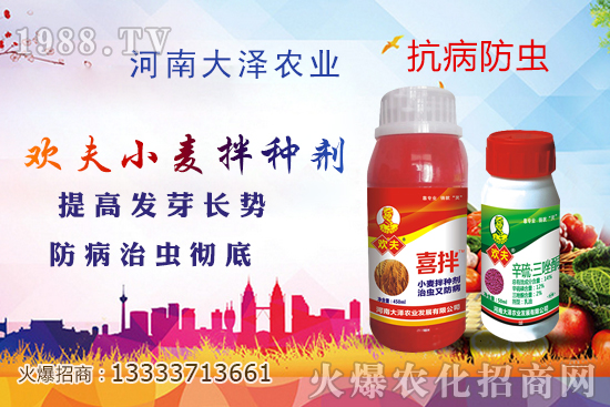 小麥拌種真有那么重要嗎，如何給小麥拌種更好？農(nóng)民要搞懂！