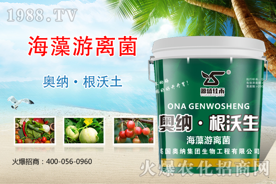 ���ӱ��W�{����Ʒ���u��������������o����ע��I�B(y��ng)�·�����