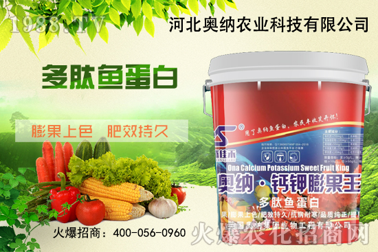 ���ӱ��W�{����Ʒ���u��������������o����ע��I�B(y��ng)�·�����