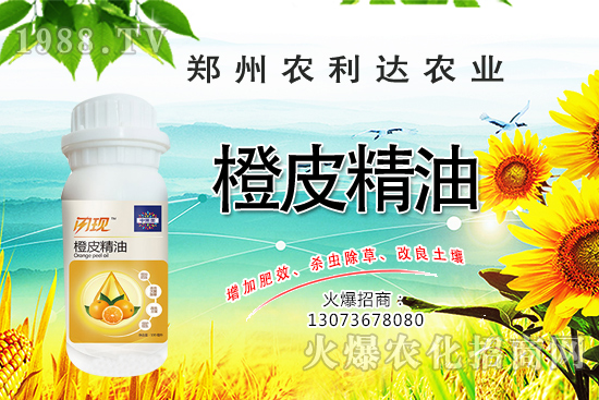 橙皮精油您了解多少？橙皮精油有什么作用？怎么選橙皮精油？