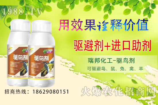 夏季果園鳥類猖獗，以下方法超乎你想象！果園驅(qū)鳥攻略！