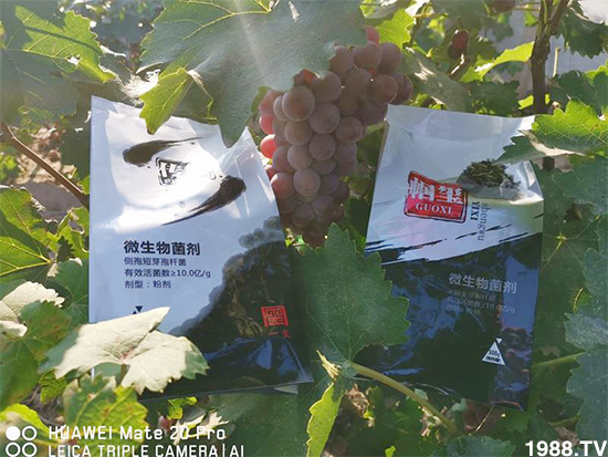 �îa(ch��n)Ʒ����������һ�t���΢������������t���͑��挍������