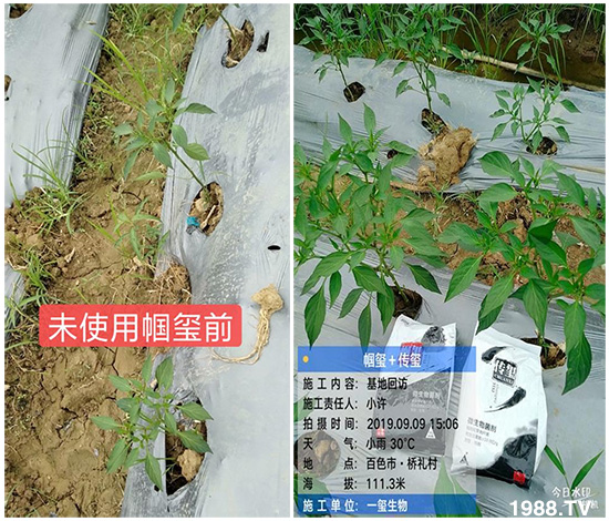 �îa(ch��n)Ʒ�����ã���һ�t���΢������������t���͑��挍������