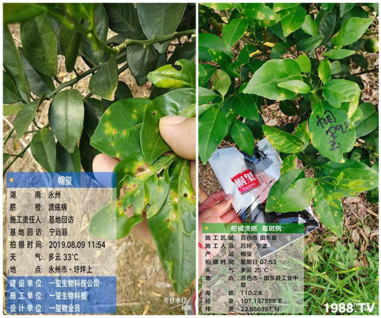 �îa(ch��n)Ʒ����������һ�t���΢������������t���͑��挍������