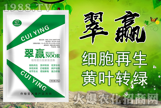 ���䇊ʩ�~���