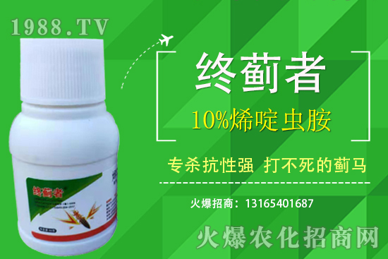 10%烯啶蟲胺能打薊馬嗎？有什么特點？10%烯啶蟲胺使用注意事項！
