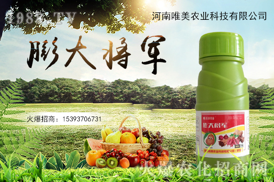 果實(shí)膨果慢、果實(shí)小怎么解決？果實(shí)膨果肥的選擇有哪些？